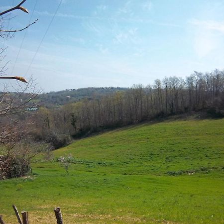 مونتيميرانو Agriturismo Norianino المظهر الخارجي الصورة