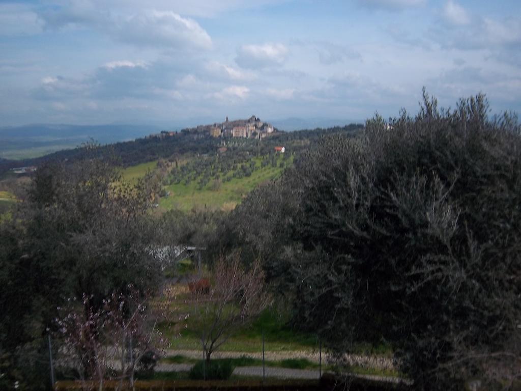 مونتيميرانو Agriturismo Norianino المظهر الخارجي الصورة