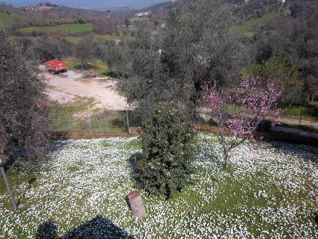 مونتيميرانو Agriturismo Norianino المظهر الخارجي الصورة