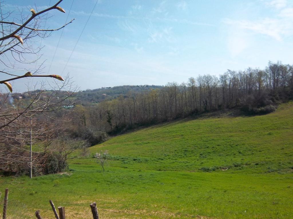 مونتيميرانو Agriturismo Norianino المظهر الخارجي الصورة