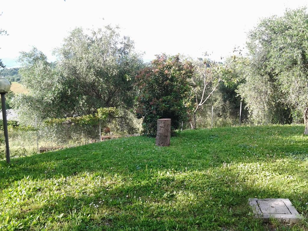 مونتيميرانو Agriturismo Norianino المظهر الخارجي الصورة