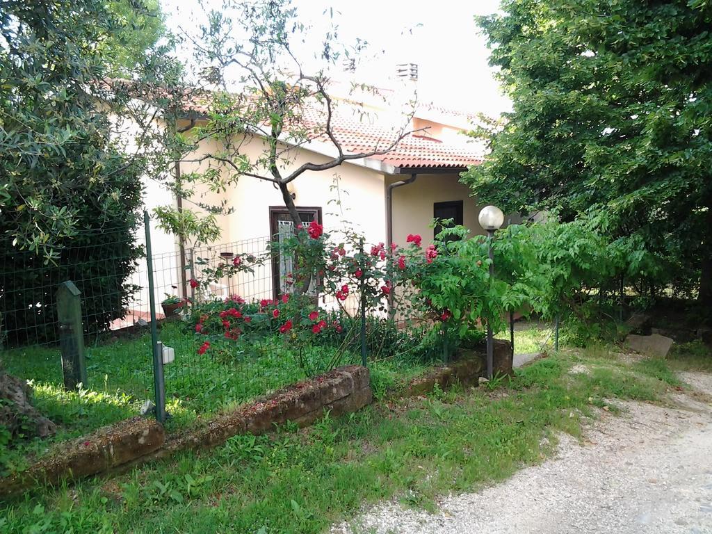 مونتيميرانو Agriturismo Norianino المظهر الخارجي الصورة